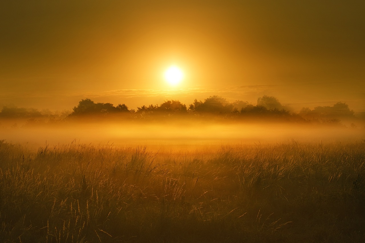 Dawn Chorus in Late April: A Journal Entry and Some Thoughts on Listening