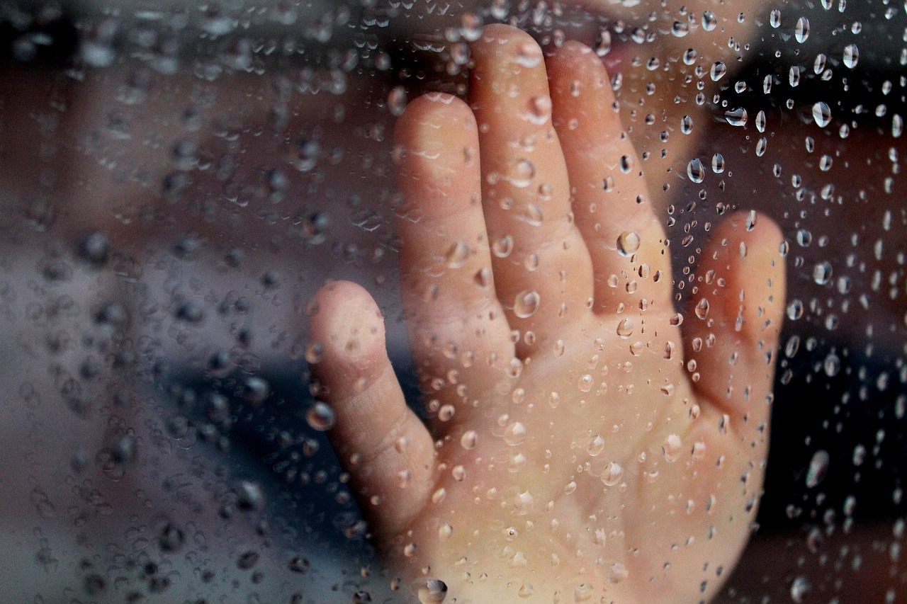 Field Notes on Rain: Why Bad Weather Makes for Good Birdwatching