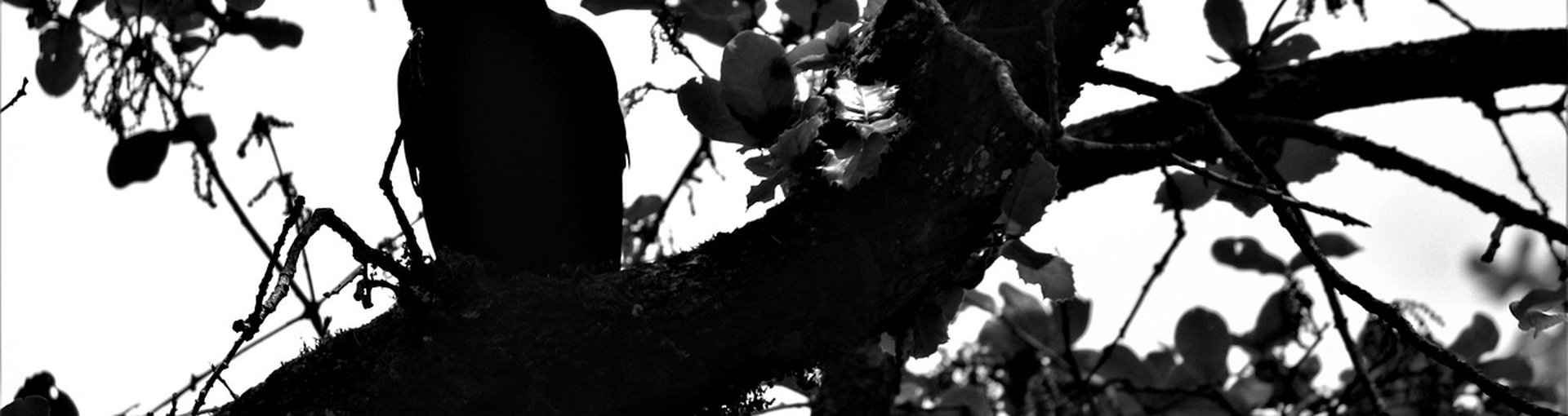 Futurelife-home2-slideshow
