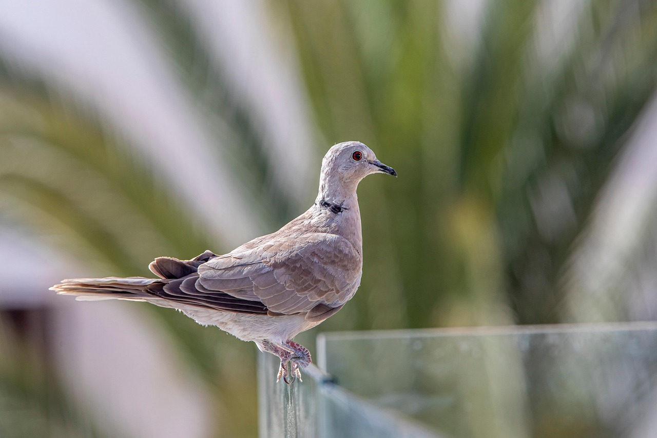 The Art of Sitting Still: How Patience Rewrites What You See